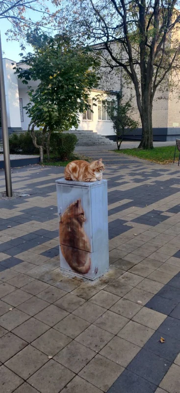 Экскурсия-трансфер в Зеленоградске: от аэропорта до курорта