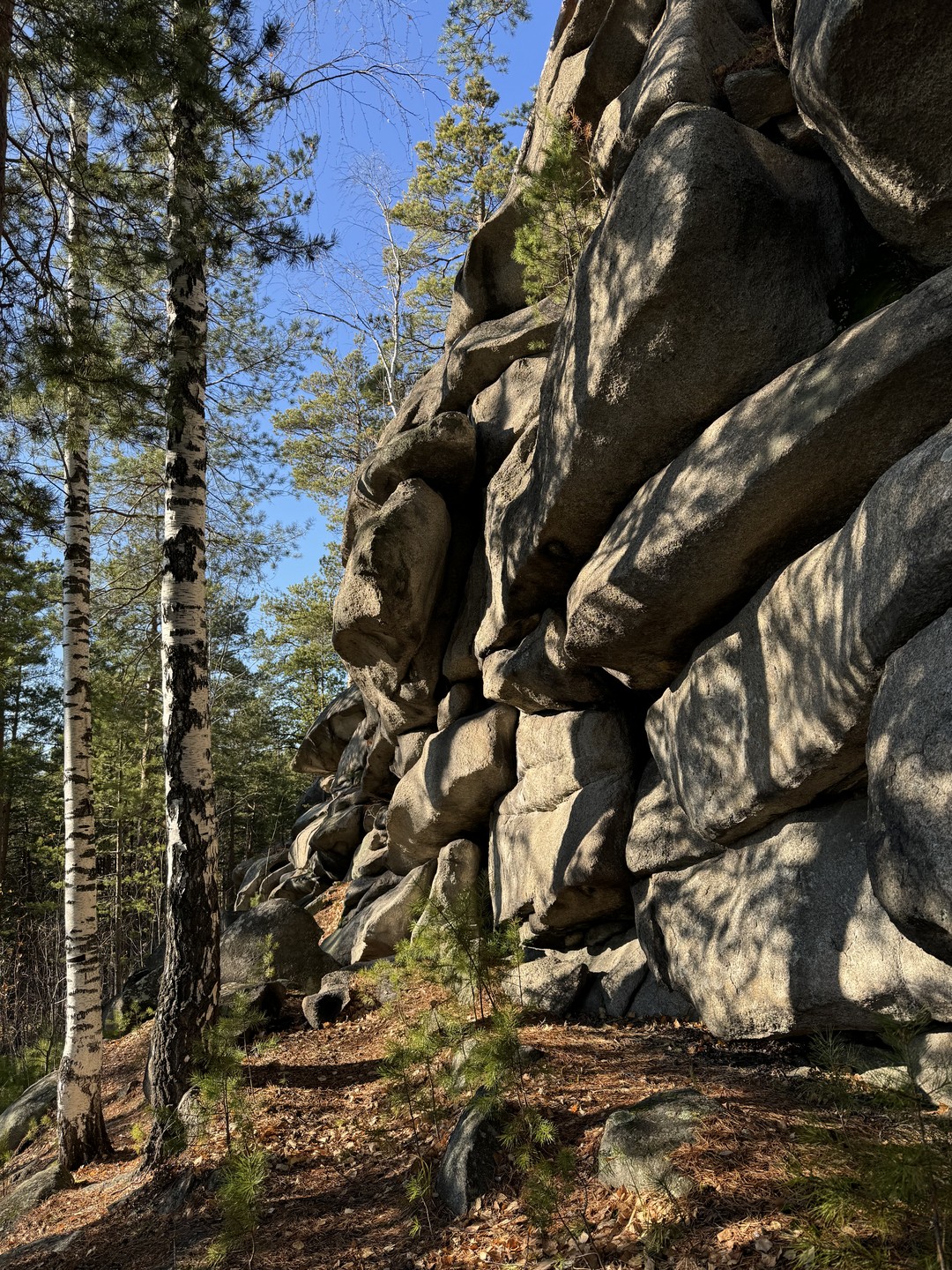 Волшебный день в Исетском лесу с гидом-волшебником Алексеем! Мы слушали тишину, терли пихту, ели шишки и