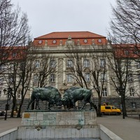 Фото отзыва 3: экскурсия "Групповая экскурсия «Вечерний Калининград»"