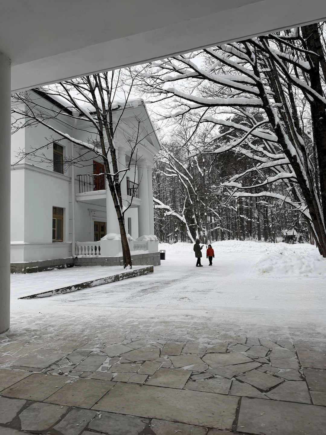 Переделкино с местным жителем и членом Союза писателей (Денис)