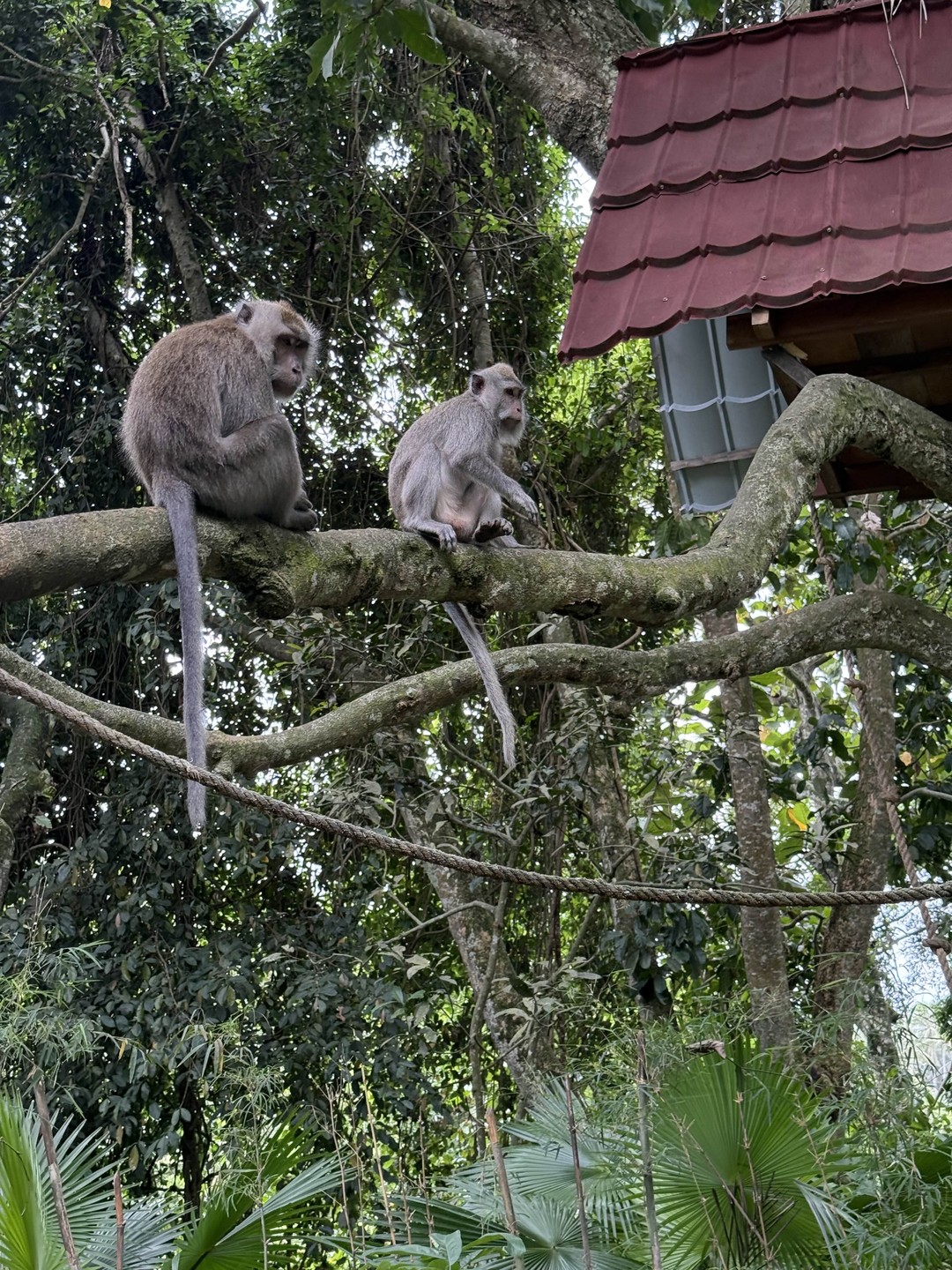 Отличная поездка и интересные, яркие и колоритные места!