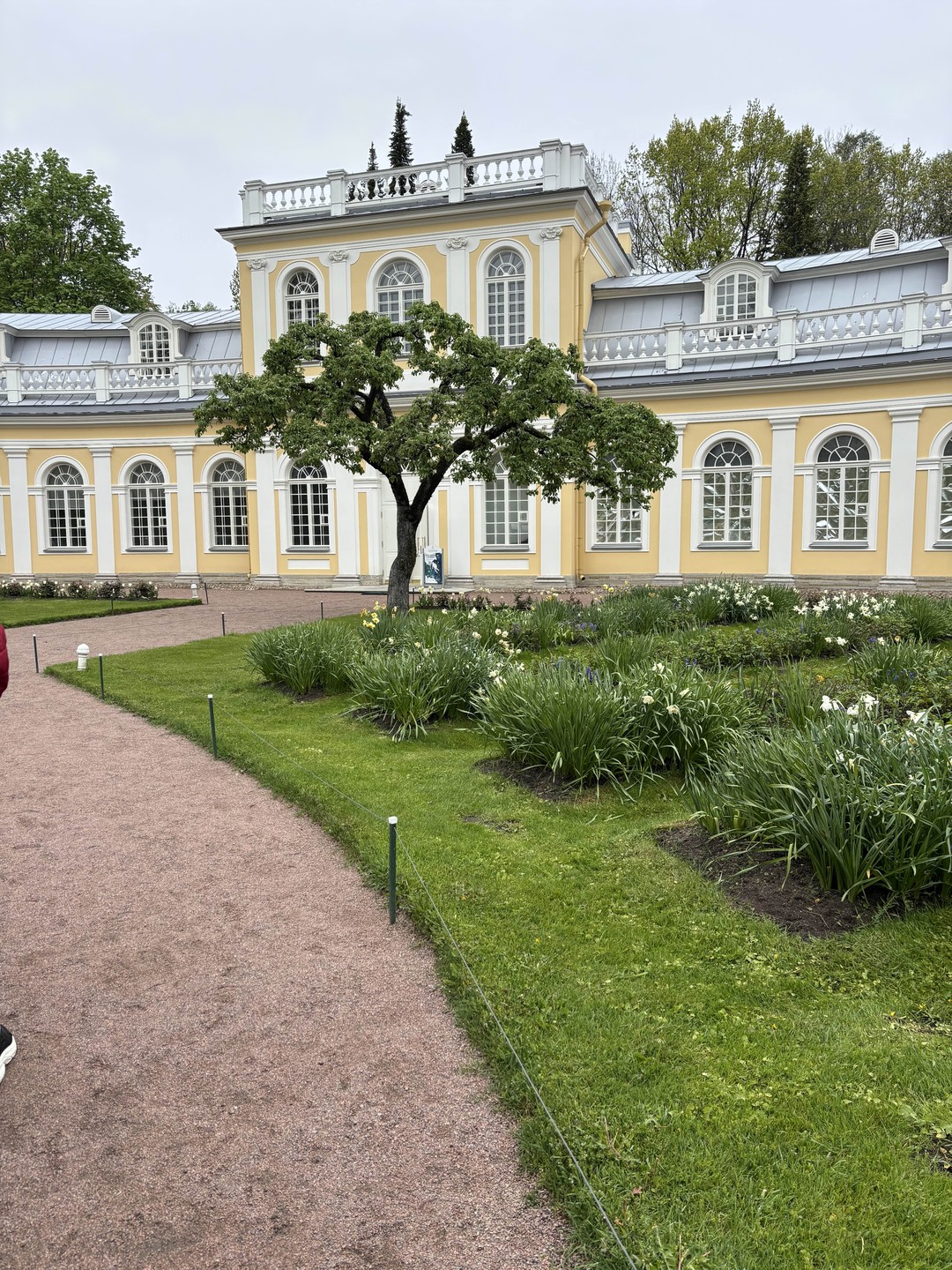 Петергоф от А до Я: метеор, Нижний парк и экскурсия в Большой дворец (билеты включены) (Анастасия)