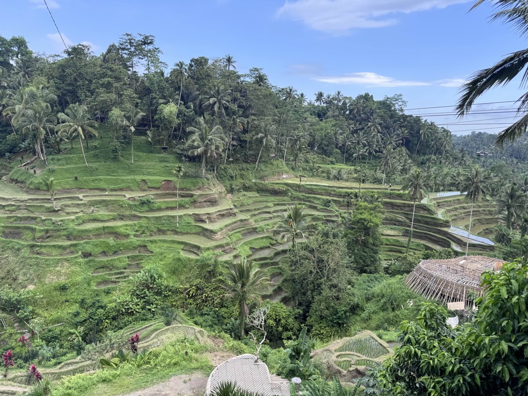 Номер заказа 5727921