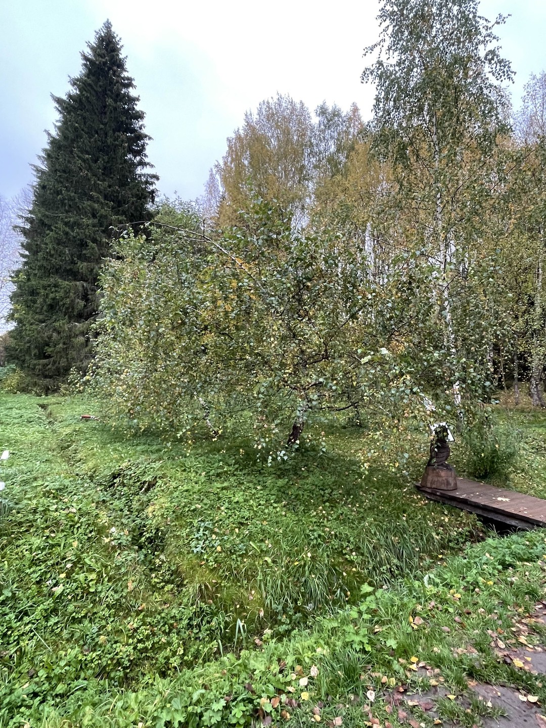 Нашим гидом был Артем. Спасибо, поподробнее рассказал историю Петрозаводска и собственно завода. К нашим пожеланиям во время поездки прислушивался