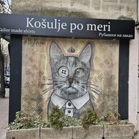 reviews img