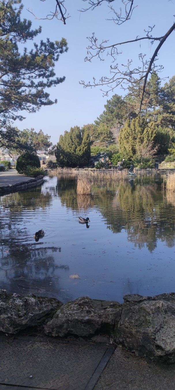 Фото Остров Маргит — сердце Будапешта