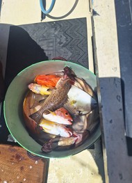 Фото отзыва 2: экскурсия "Из&nbsp;Пхукета&nbsp;— к&nbsp;острову Рача-Яй!"