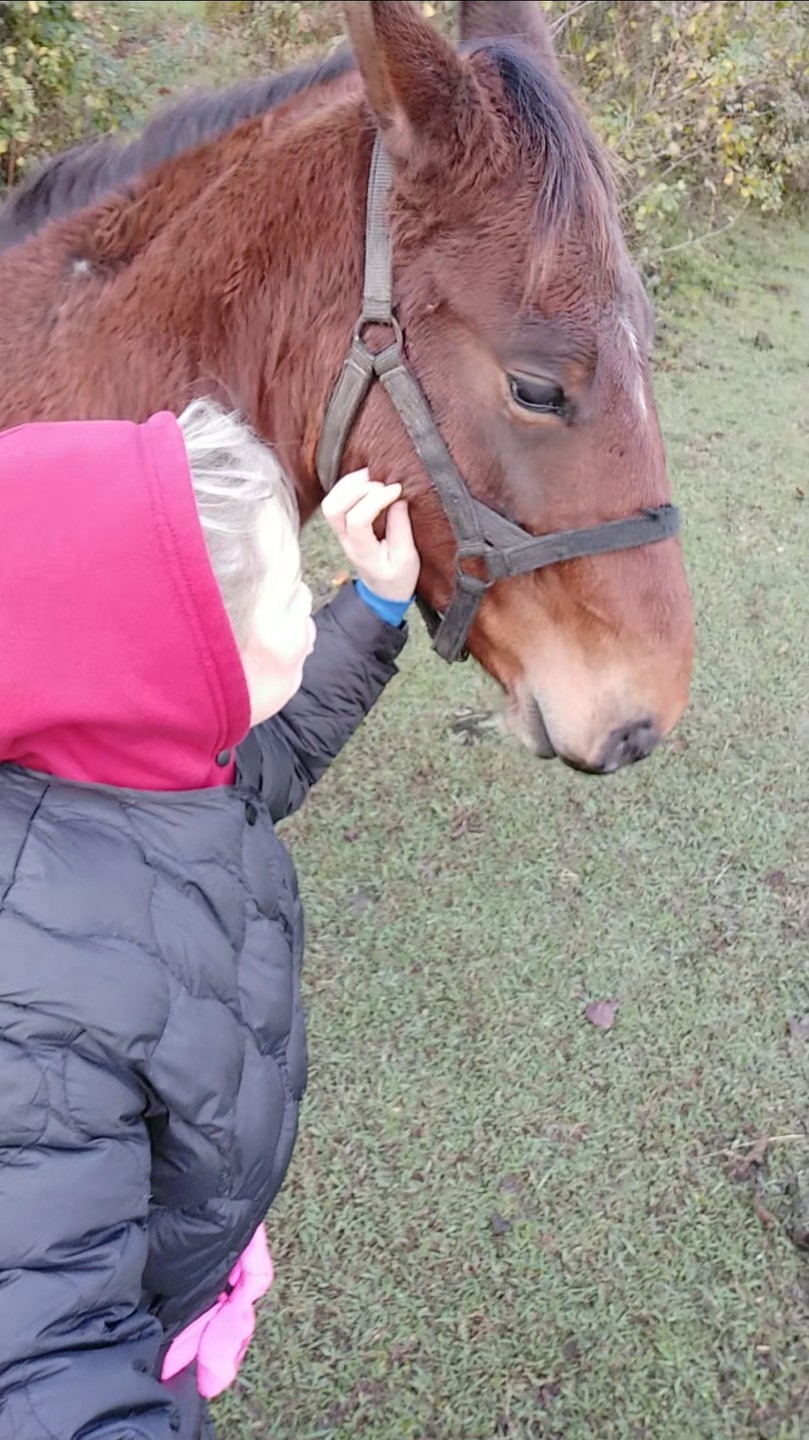Прекрасное расположение, уединение в полной мере. Чудесная, живая природа. Благоприятный горный и морской воздух. Великолепные пейзажи.