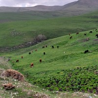Фото отзыва 2: экскурсия "7 чудес ущелья Хасаут из Кисловодска"