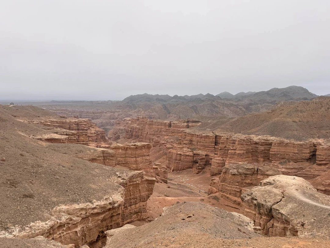 Али гид- 100 из 100.