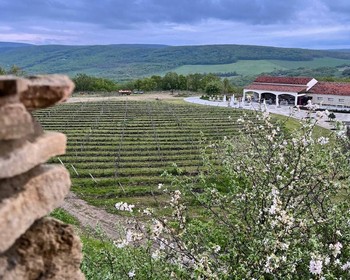 Анапа: винодельня «Гай-Кодзор», Кипарисовое озеро и Ласточкины гнёзда