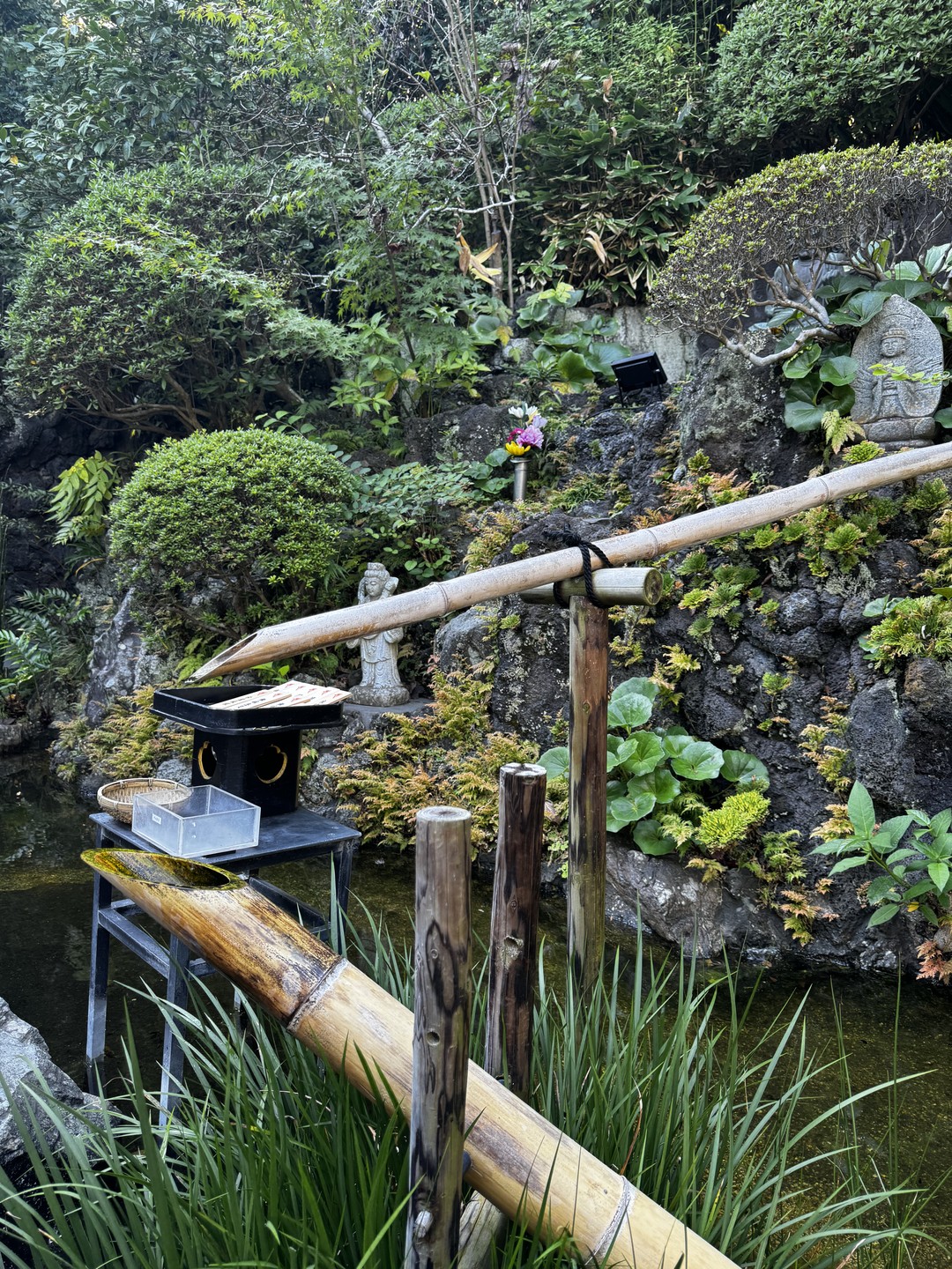 Хочу поделиться своими впечатлениями о нашей поездке в Японию! Мы уже не первый раз в Токио,