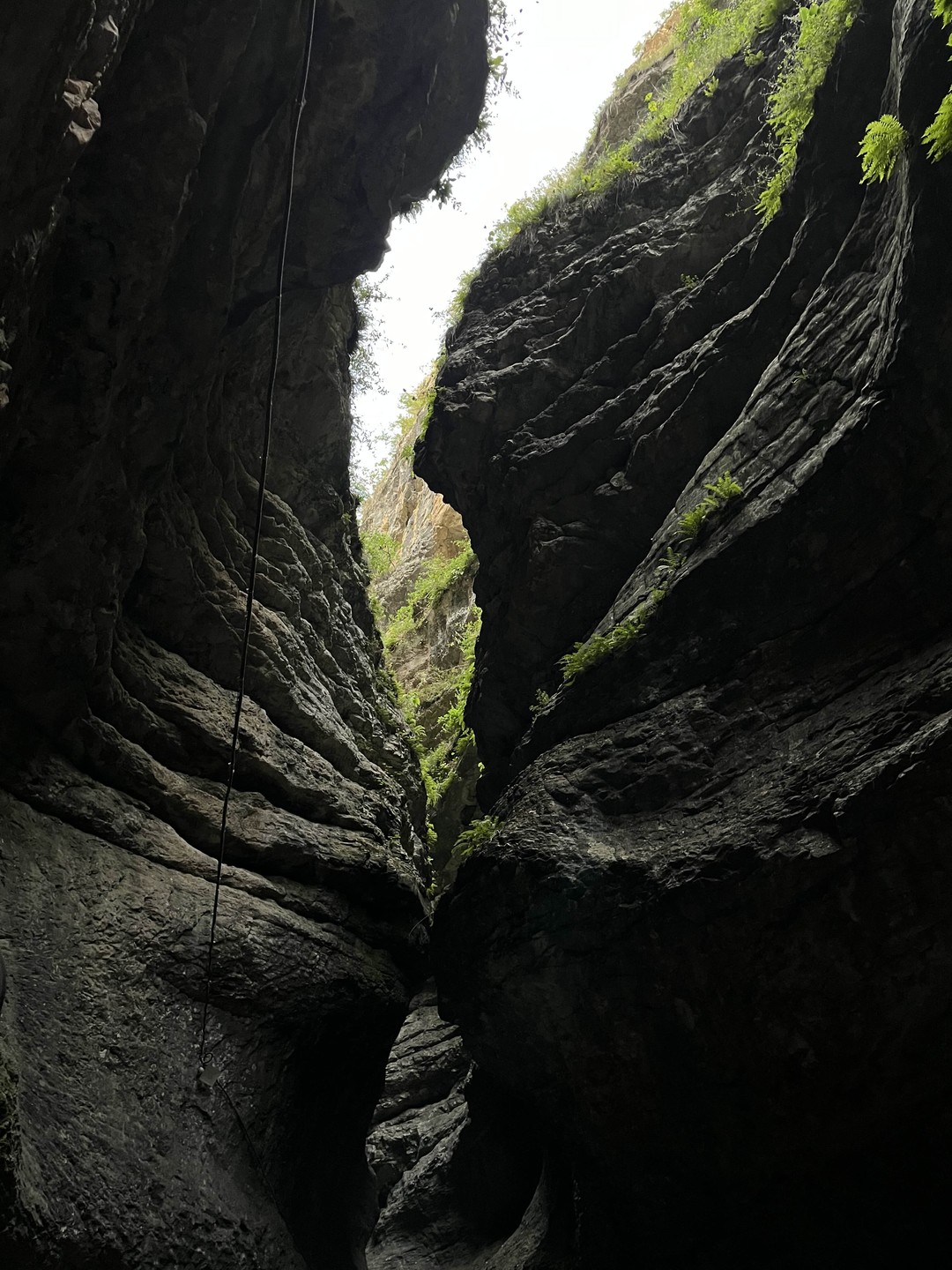 Все очень понравилось, интересно, информативно, все рекомендую🥰