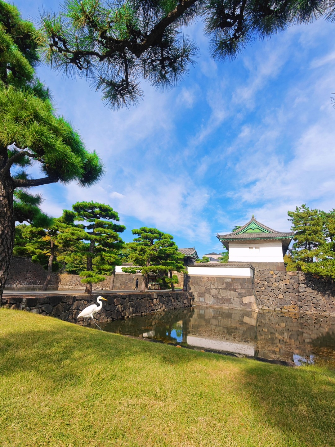 Разнообразный Токио за 5 часов (Юлия)