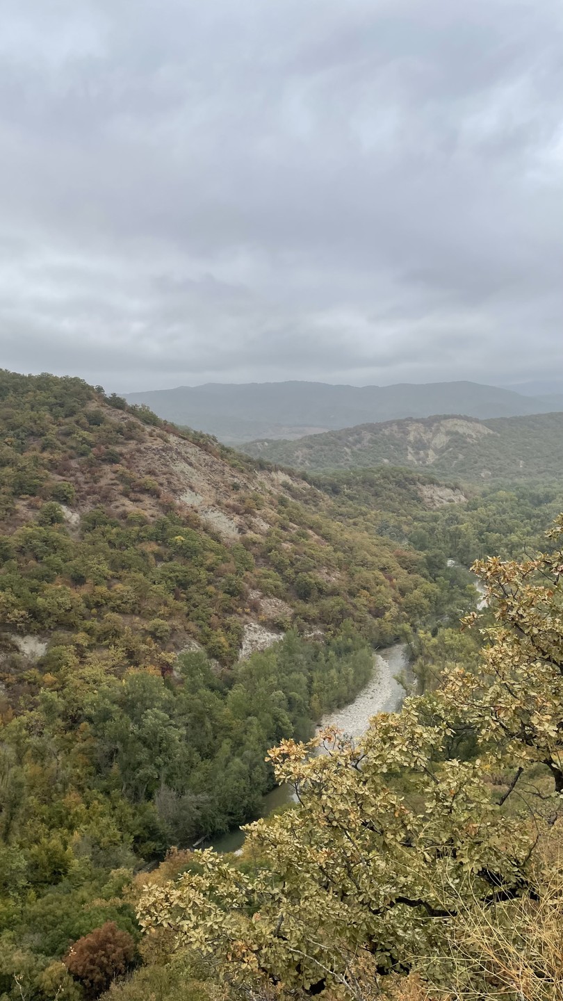 Продегустировали вина, поели виноград, полюбовались видами:) такая прекрасная и запоминающаяся поездка! Спасибо Александру!!!
