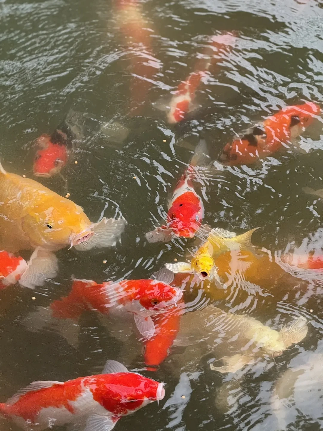 Провели чудесный день, гид была позитивная, любезная и очень грамотная в профессиональном плане. Экскурсия началась сразу