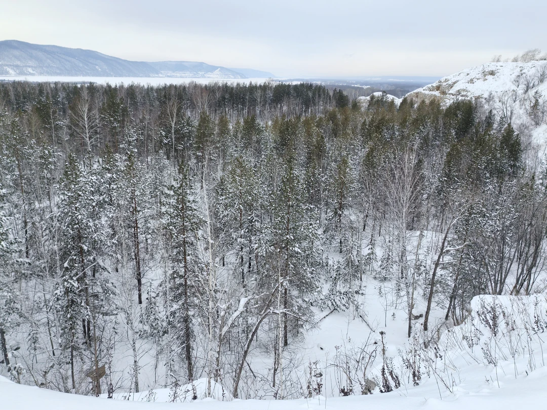 Спасибо за экскурсию! Посмотрели на интересные виды, услышали разные истории и сделали прекрасные фотографии. Буду рекомендовать