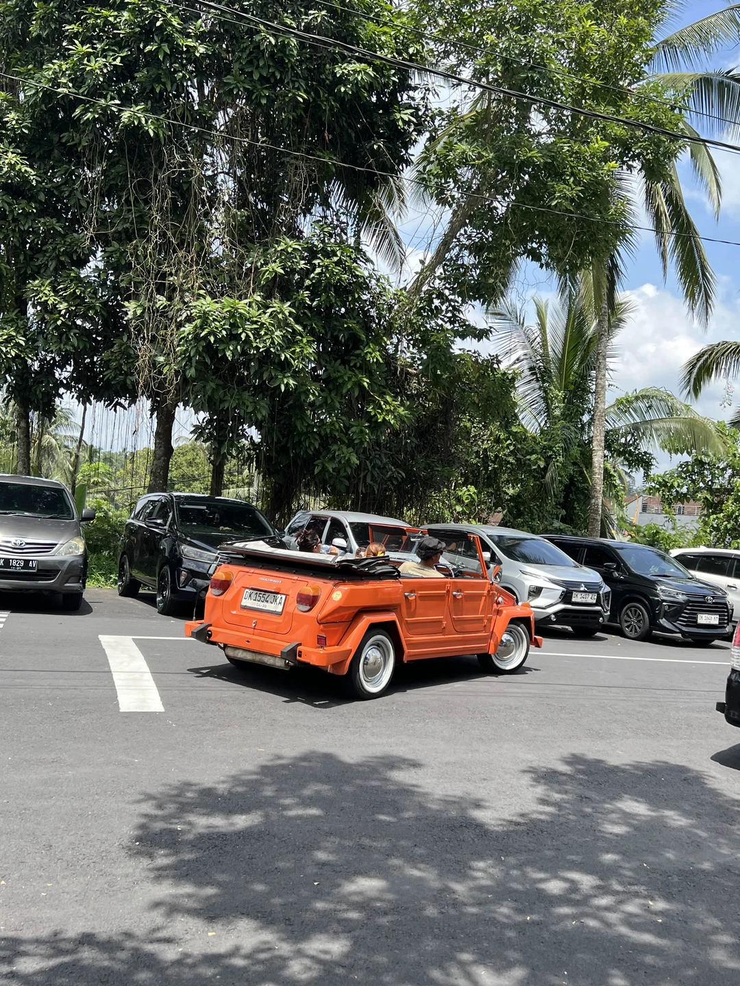 Погружение в культуру острова Ява (Надежда)