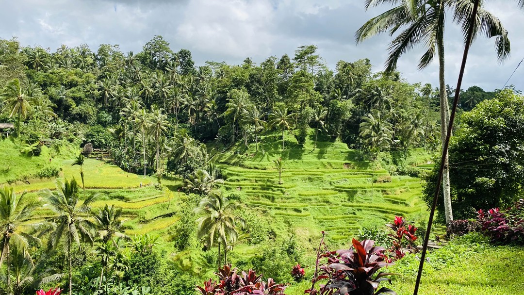 Бали изнутри (Александр)