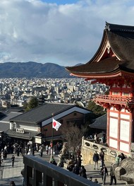 Фото отзыва 5: экскурсия "Киото&nbsp;— основные места старой столицы"