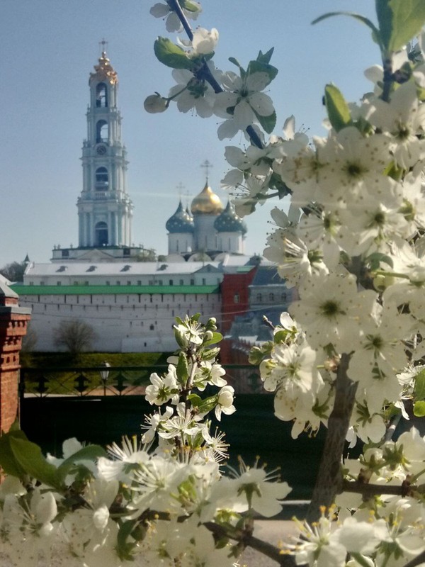 Прогулка по Сергиеву Посаду с местной любительницей истории