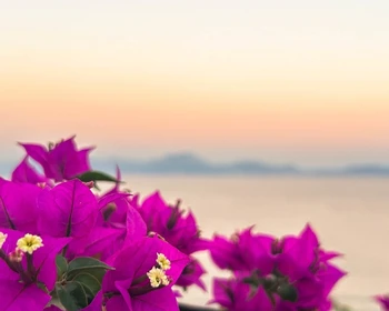 Самостоятельный отдых