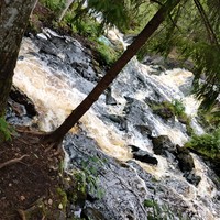 Фото отзыва 2: экскурсия "Поездка в горный парк Рускеала"