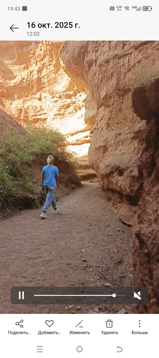 Увидели всё что хотели и даже больше, по дороге повстречали 🐫🐫🐫, экскурсовод остановился чтобы мы могли