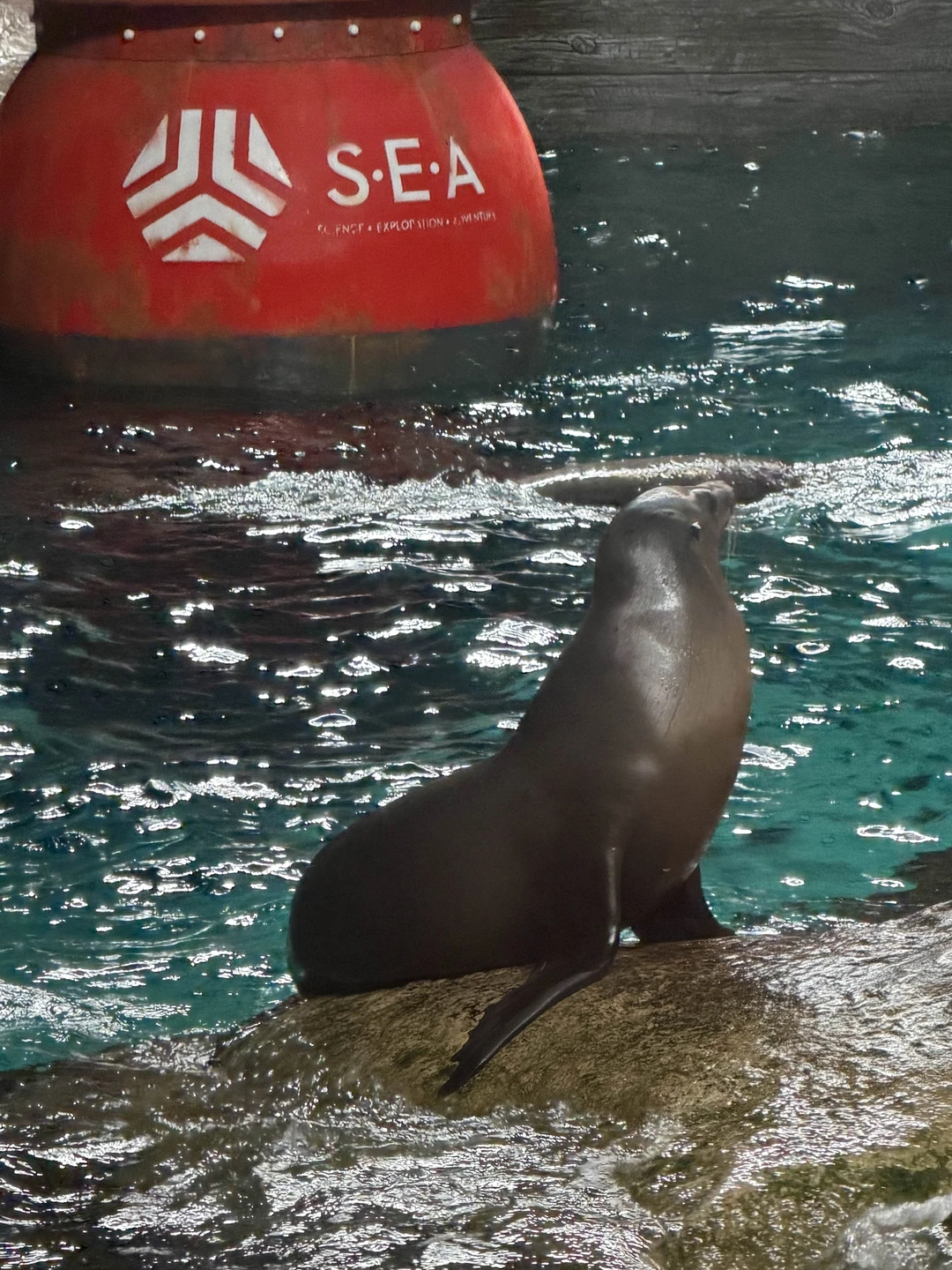 Спасибо большое Муслиму за прекрасную экскурсию! Организация на высоте, все билеты приобретались заранее без очередей и