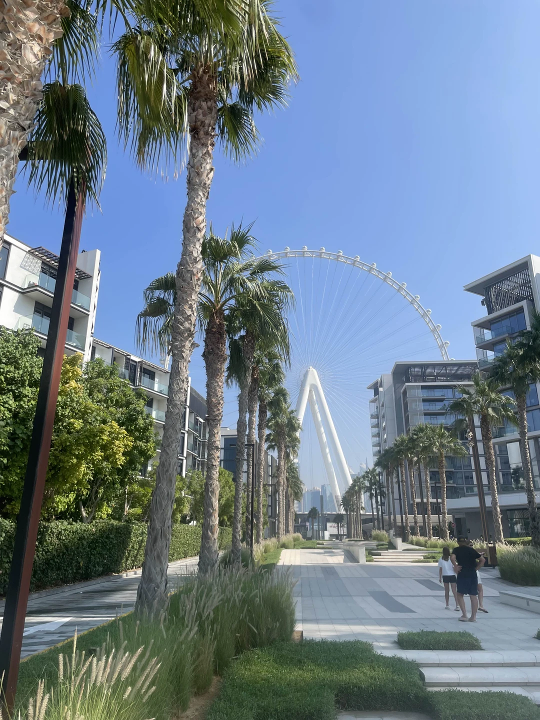 Нам очень понравилась экскурсия узнали много нового об Эмиратах