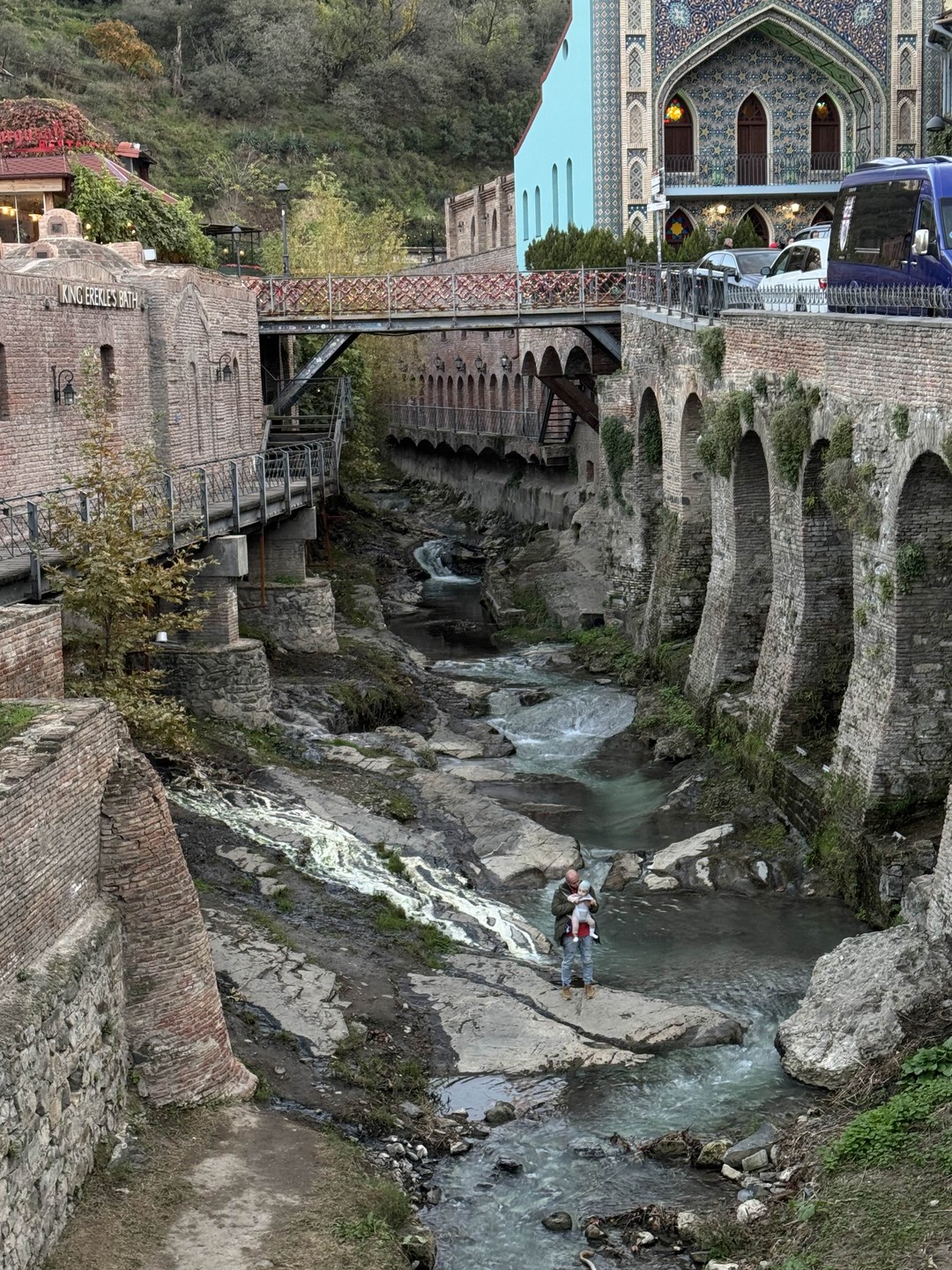 За зеленью и прохладой - в ботанический сад (Степанида)