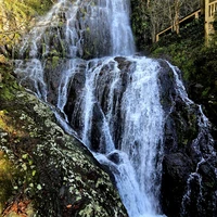 Фото отзыва 3: экскурсия "Экскурсия в Горную Аджарию с застольем и народными танцами (всё включено)"