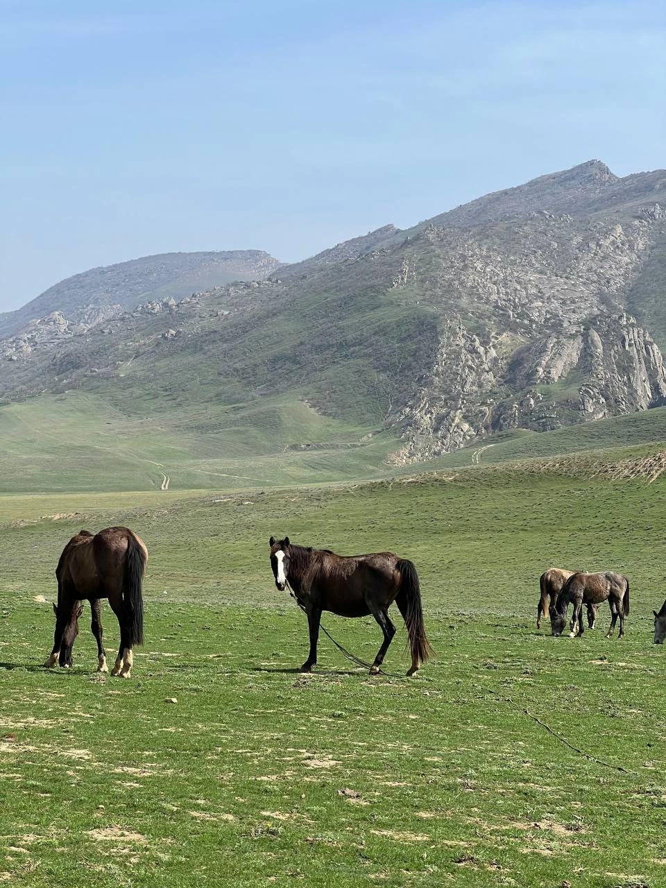 И бархан, и ущелье - это просто какой-то невероятный восторг! Очень красивые места, которые на самом