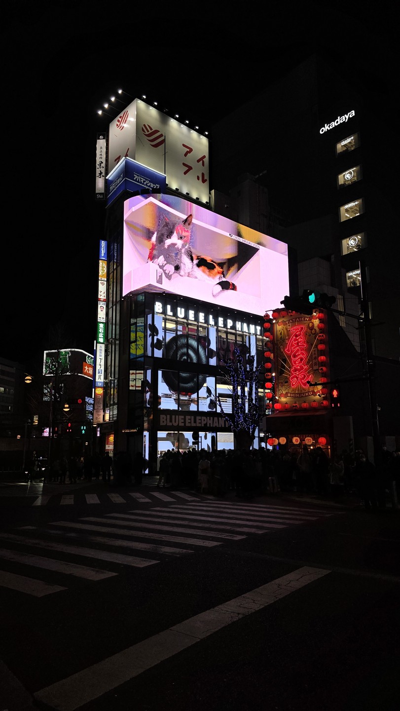 Экскурсия очень понравилась. Дмитрий провел по всем популярным местым, рассказал о ночном Токио, о котором сами