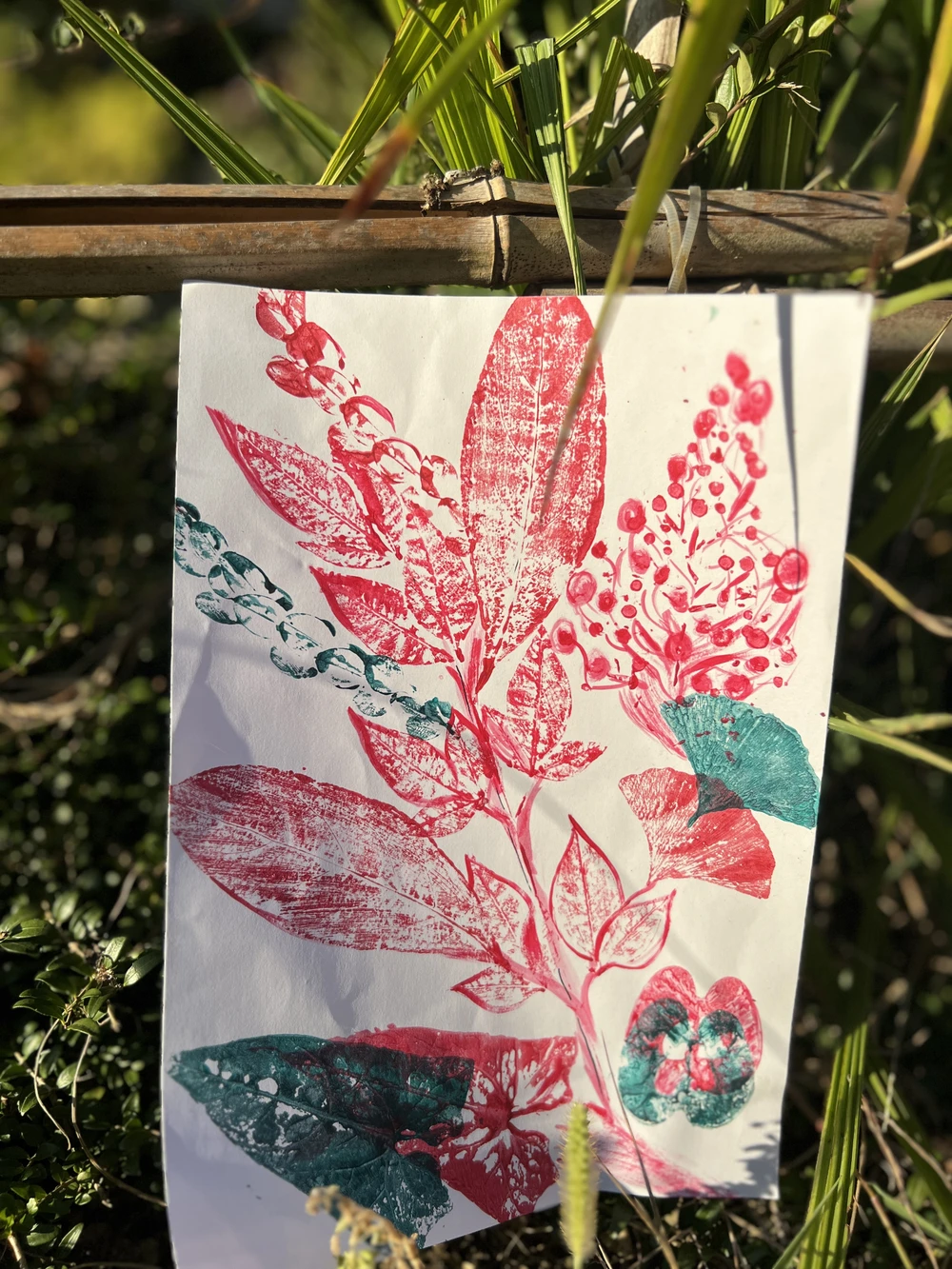 Мастер-класс по монопечати растений в Сочи (10/18)