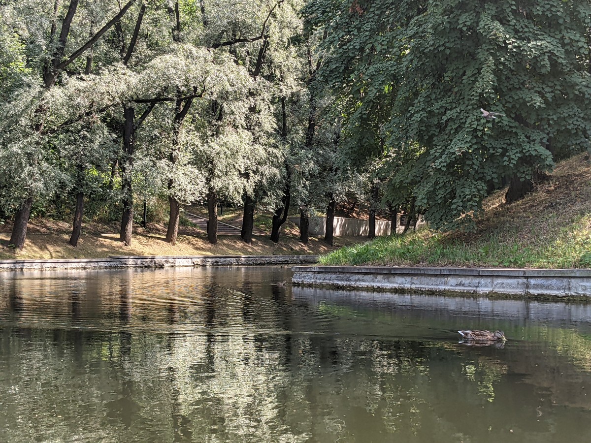 Нескучный сад хранит свои стволы… (2/9)