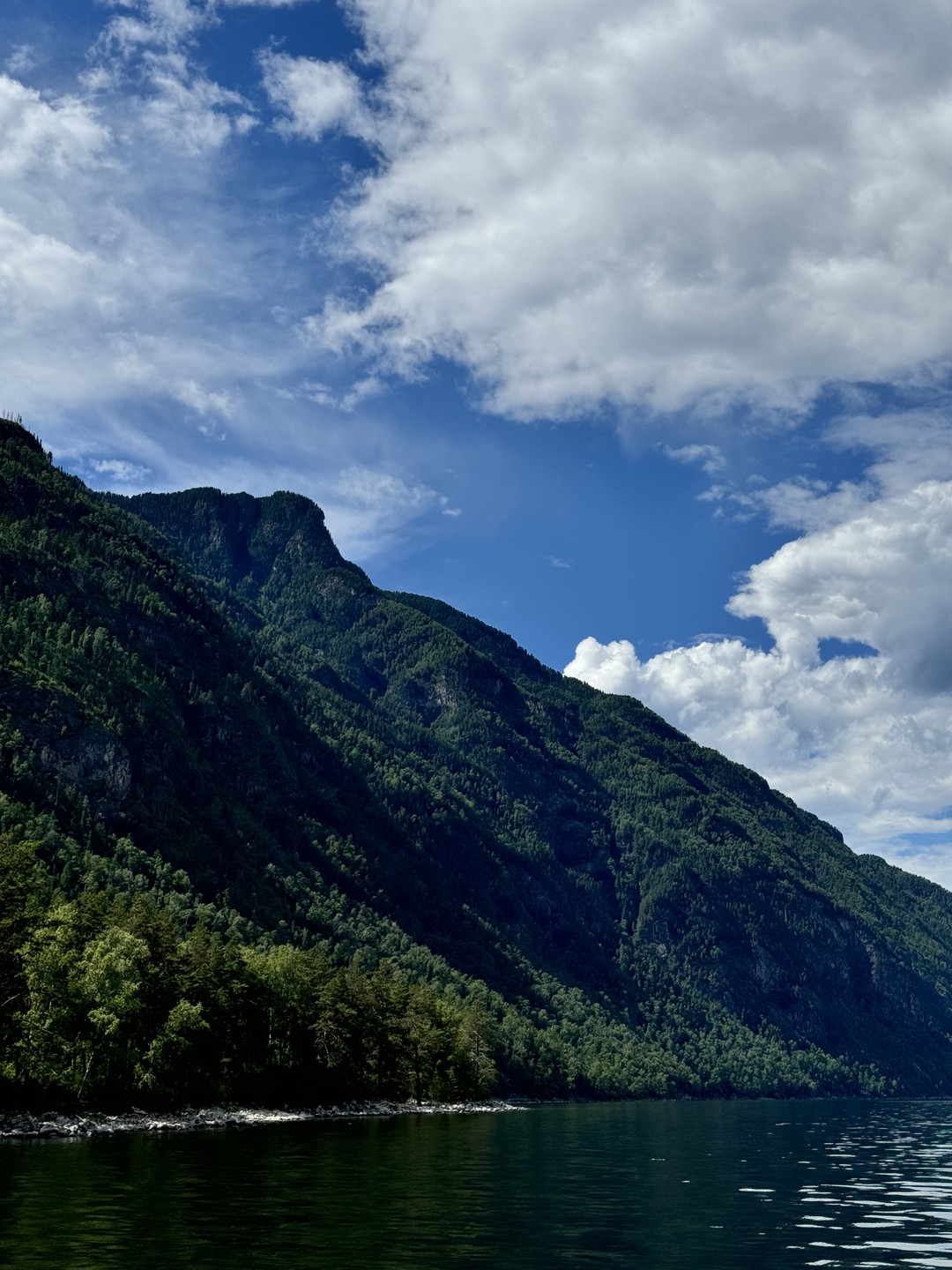 В начале месяца ездила в потрясающую поездку на Алтай. Тур очень понравился, были разные активности. Покатались