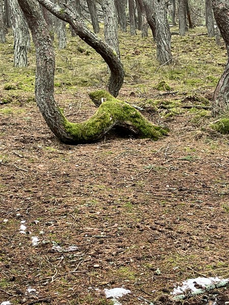 Замечательно организована поездка! Регина интересно преподносит материал! Нам очень понравилось. Рекомендую от души!