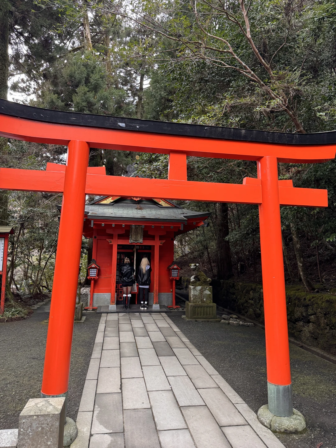 Огромная благодарность Александре за замечательное путешествие. На автомобиле от отеля мы проехали по чудесным местам Японии