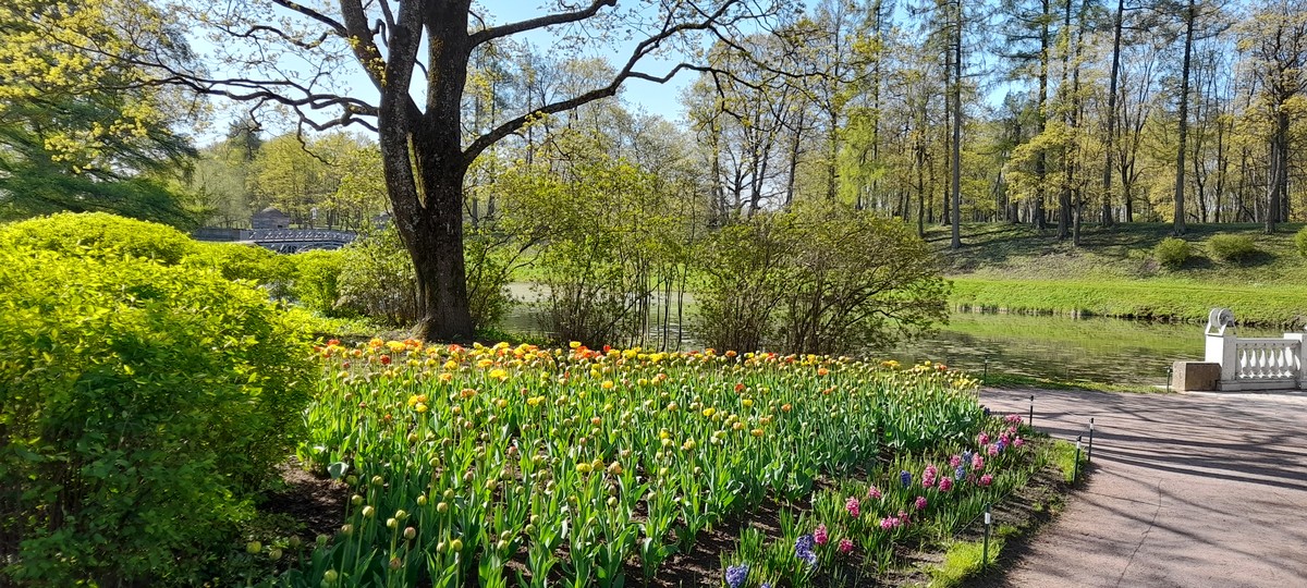 Гатчина: от императорской резиденции до столицы Ленинградской области (10/13)