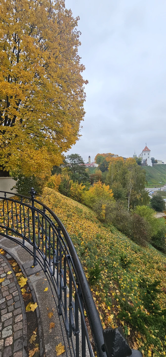 Королевский город Гродно (Олеся)