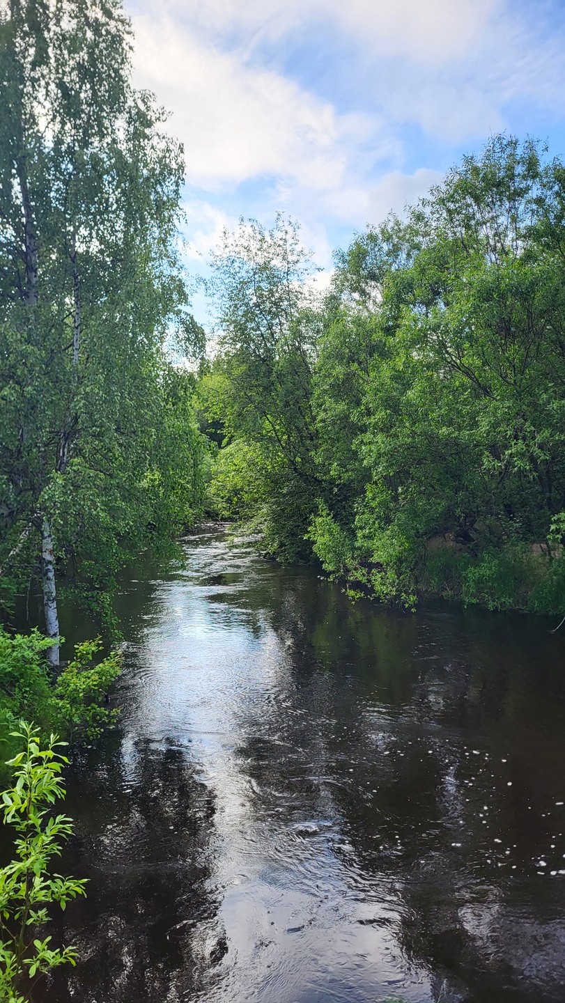 Были на экскурсии 23.06.2024. Прекрасная организация, виды из окна машины по пути в Урочище и увлекательный