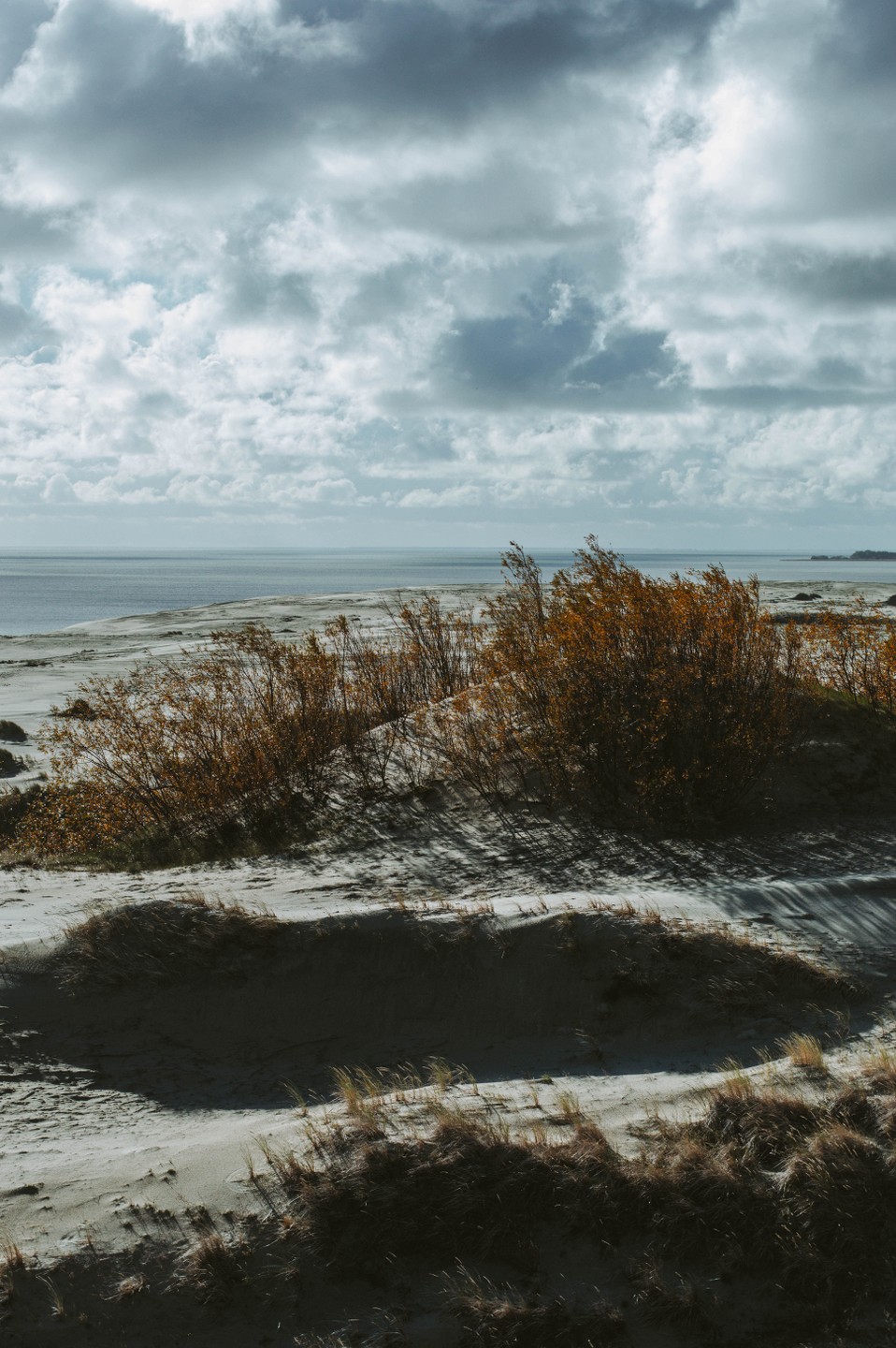 Куршская коса в мини-группе (Елизавета)