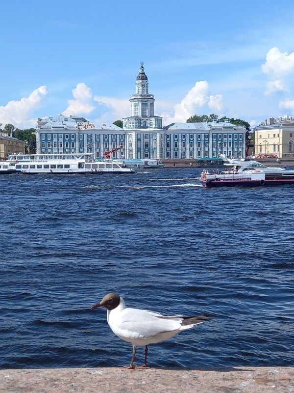 Петербург с борта катера: водная прогулка