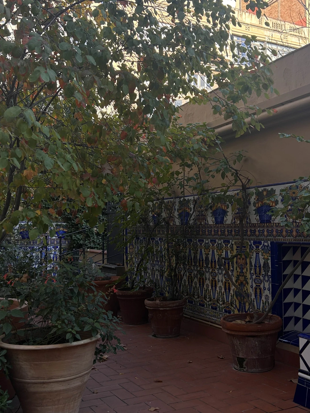 я очень сильно рекомендую экскурсию с Екатериной, столько фактов, столько мыслей, что теперь жалею, что не записывала никуда!