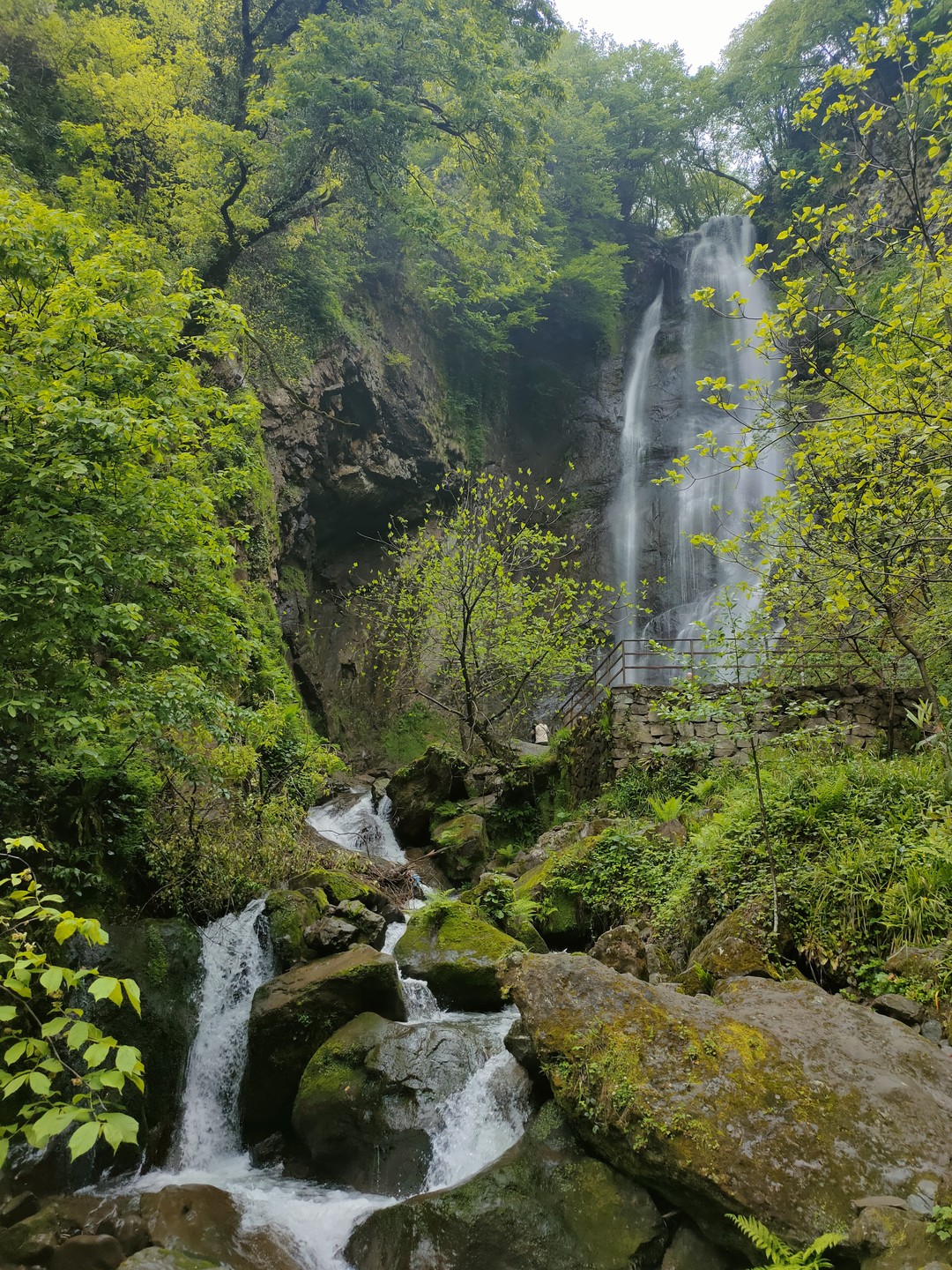 Фото отзыва 3: экскурсия "Батуми и горная Аджария за 1 день"