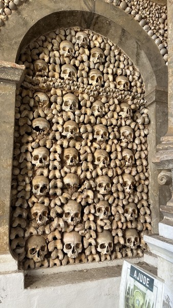 Лагуш. Увидеть и полюбить (Яна)