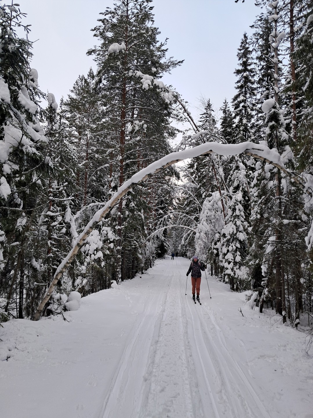 Этот тур мы с подругой приобрели для сыновей. У моего сына случился отпуск, сын подруги прилетел