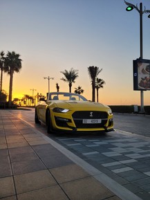 Фото отзыва 1: экскурсия "Панорамы Дубая: экскурсия на кабриолете"