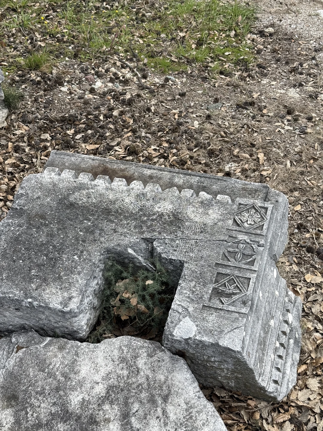 все шикарно организовано! Троя интересная) любителям древностей 100% понравится